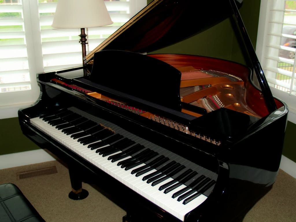 A glossy black grand piano with its lid open, positioned in a room with white window shutters and a beige carpet.