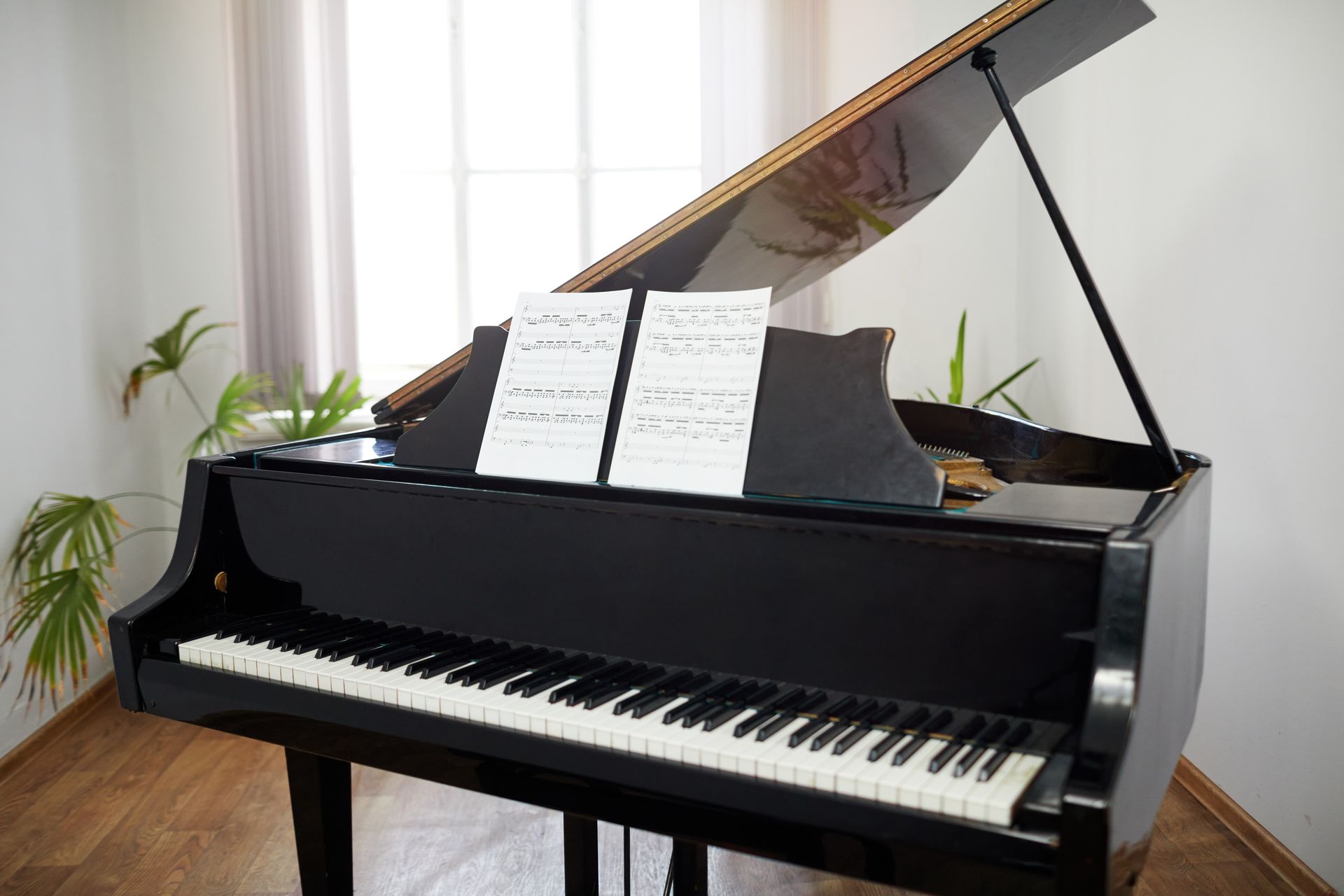 Black grand piano with an open lid and sheet music on a music stand, positioned in a bright room with potted plants.