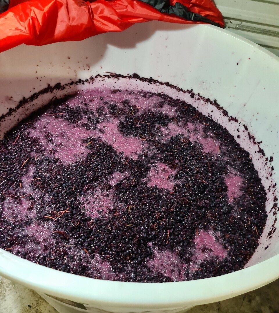 wine making
