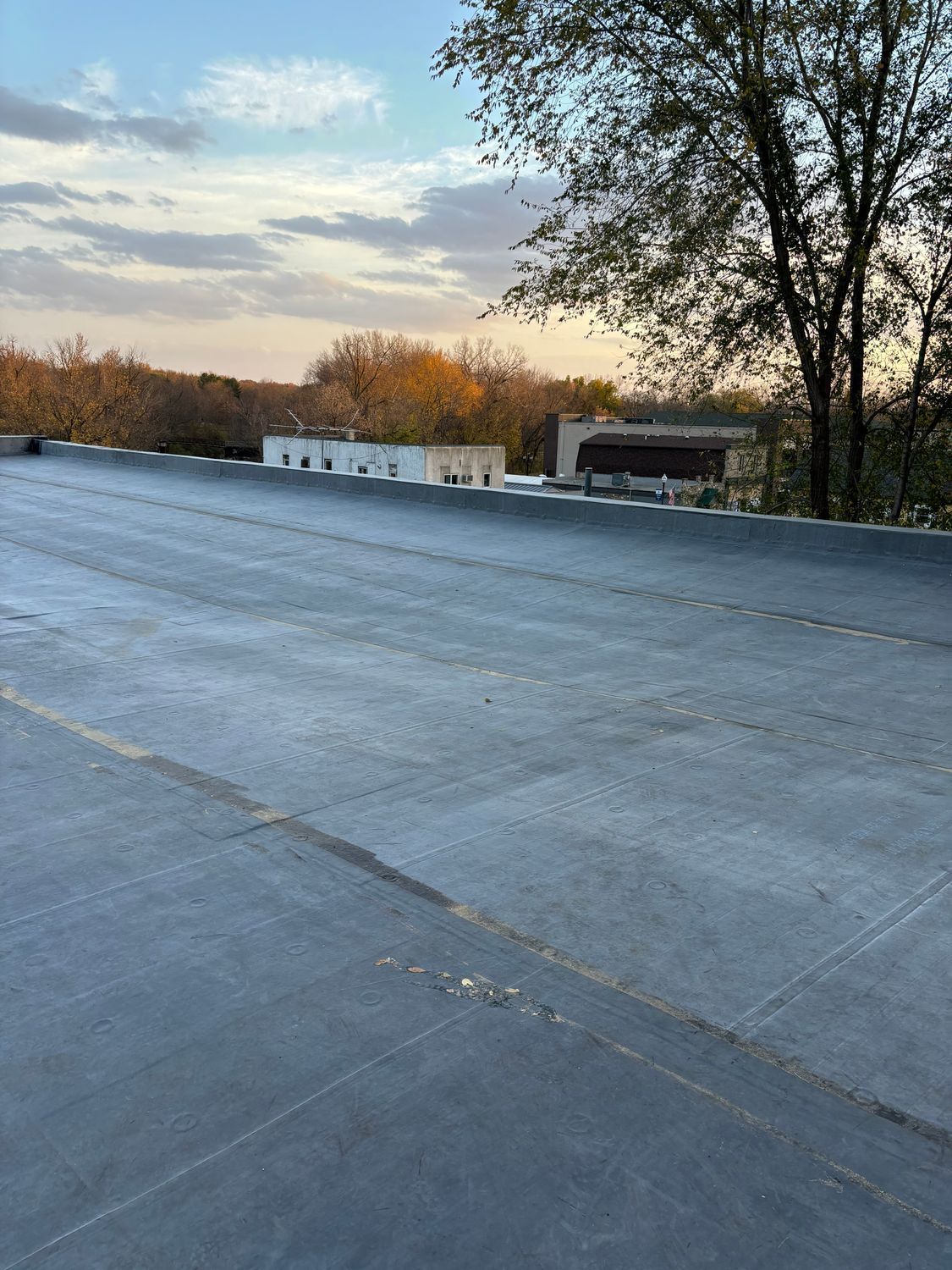 A roof with a tree in the background and a building in the background.