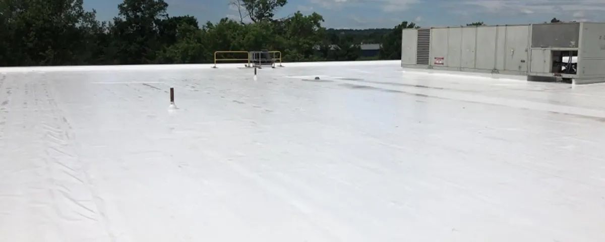 A white roof with a lot of trees in the background.
