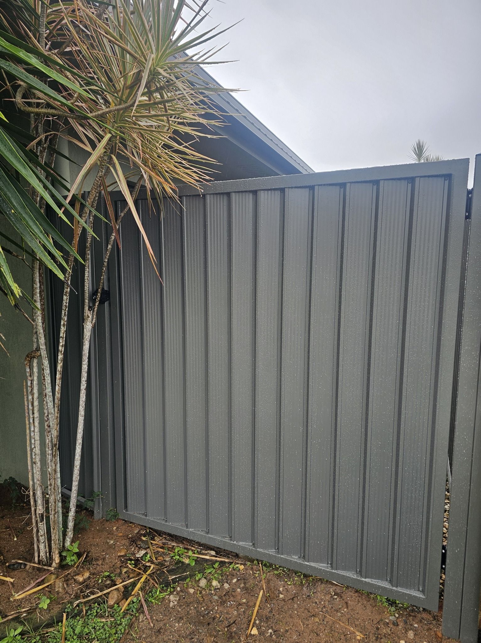 Gray corrugated metal fence gate beside a spiky tree and grassy yard — KLS Fencing In Tablelands, QLD