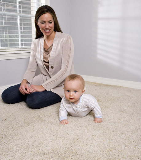 Cleaning carpet — Charlottesville, VA — Quality Carpet and Chimney Cleaners