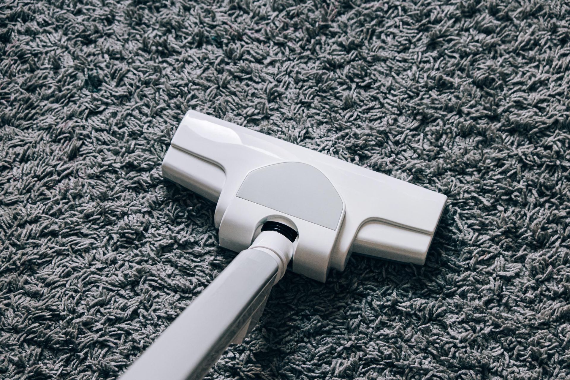 White vacuum cleaner head on a gray carpet, ready for cleaning.