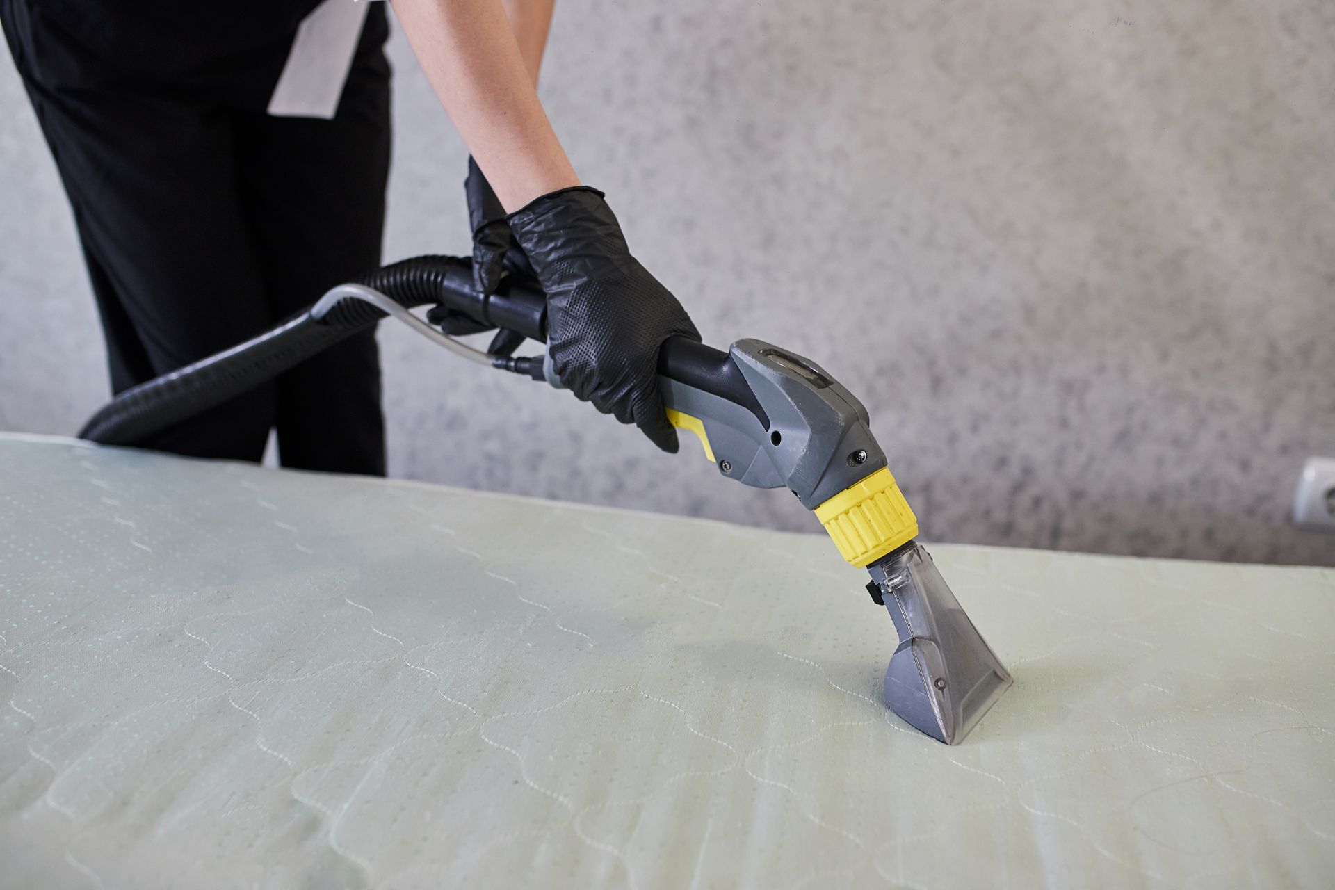 Sofa chemical cleaning — Charlottesville, VA — Quality Carpet and Chimney Cleaners