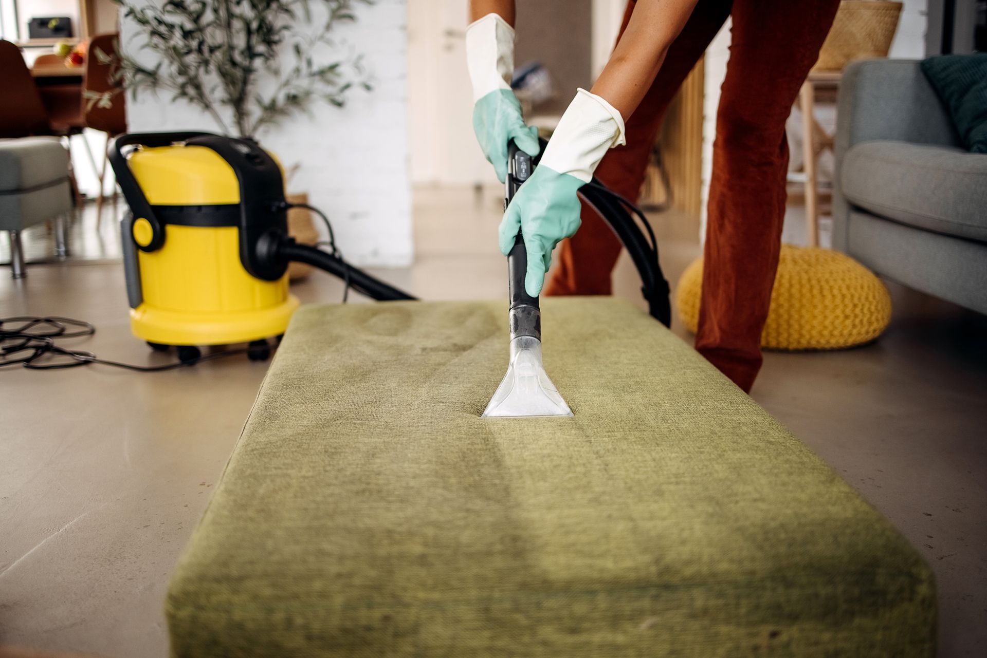 Sofa chemical cleaning — Charlottesville, VA — Quality Carpet and Chimney Cleaners