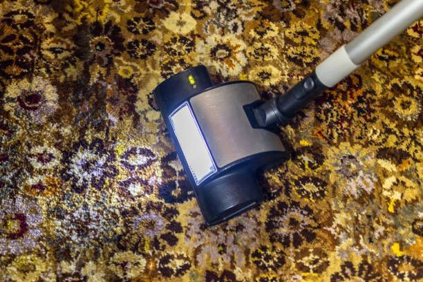 Vacuum cleaner head cleaning a patterned, floral carpet.
