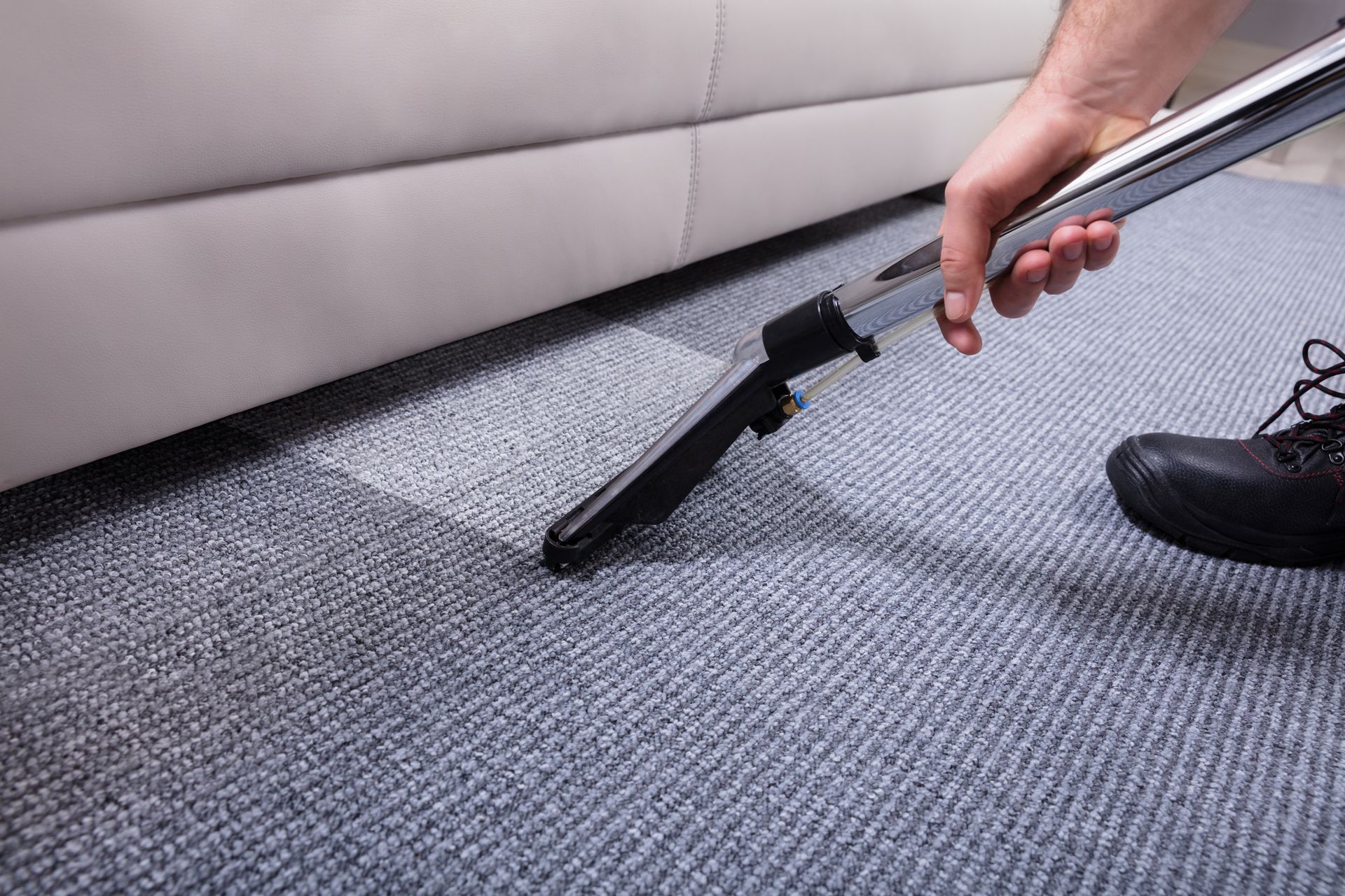 Sofa chemical cleaning — Charlottesville, VA — Quality Carpet and Chimney Cleaners