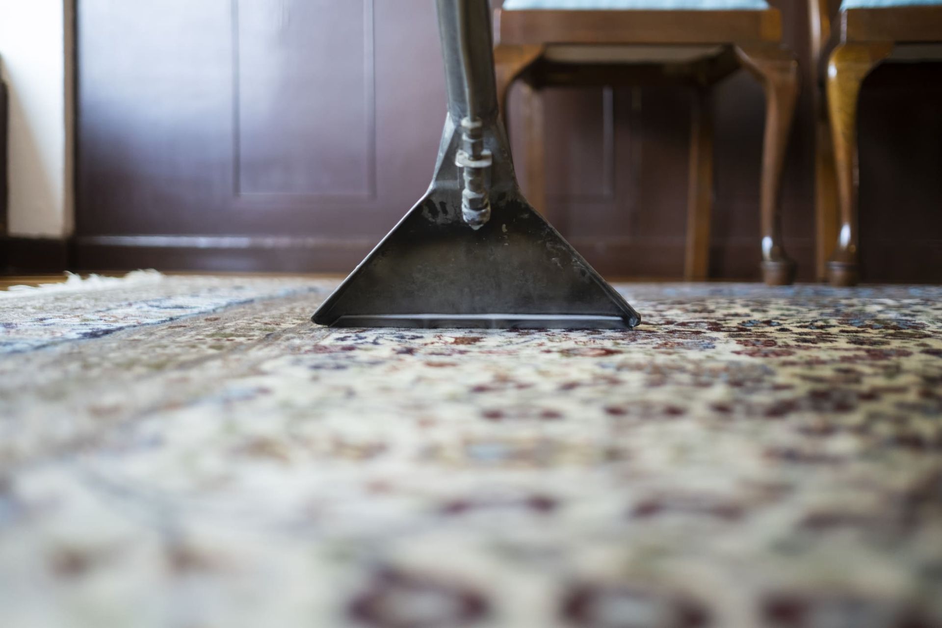 A carpet cleaner nozzle on a patterned rug, with wooden chairs and a dark wall in the background.