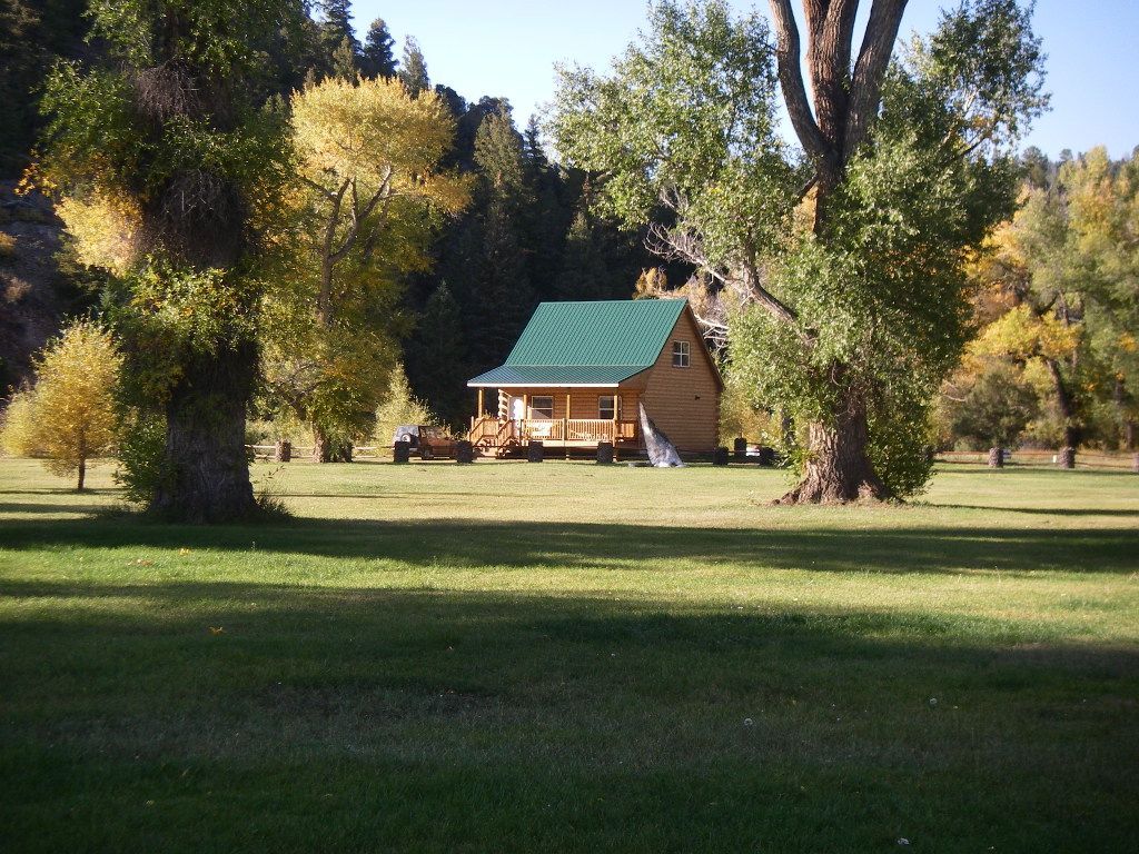 A log cabin with a green roof is surrounded by trees