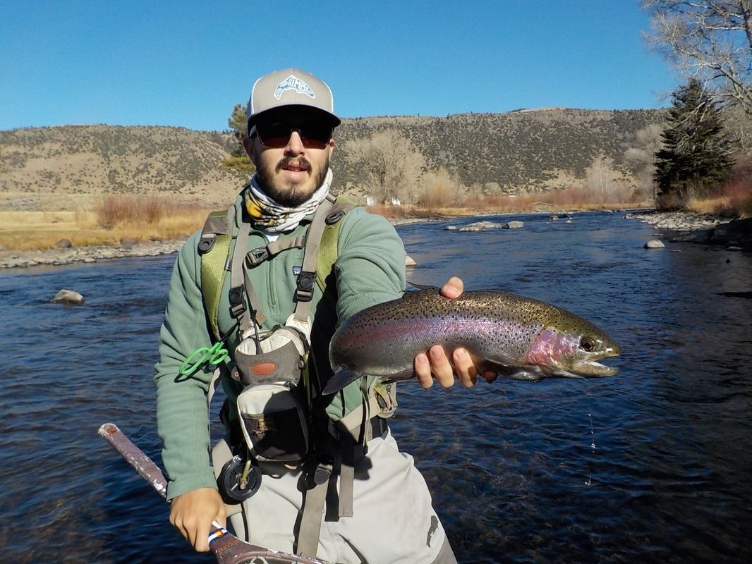 A man is holding a rainbow trout in his hands in a river.