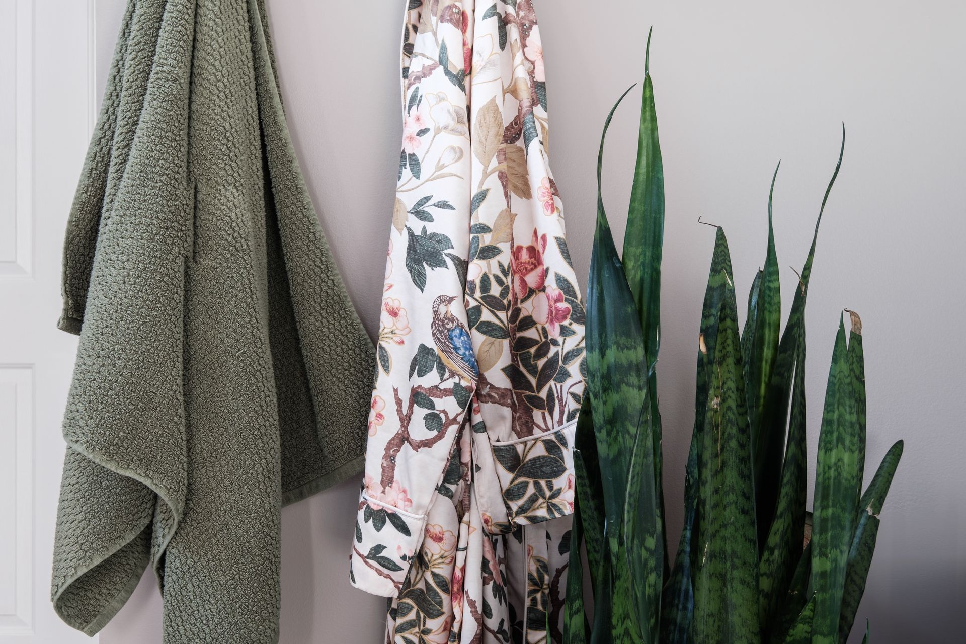 Three towels are hanging on a wall next to a plant.