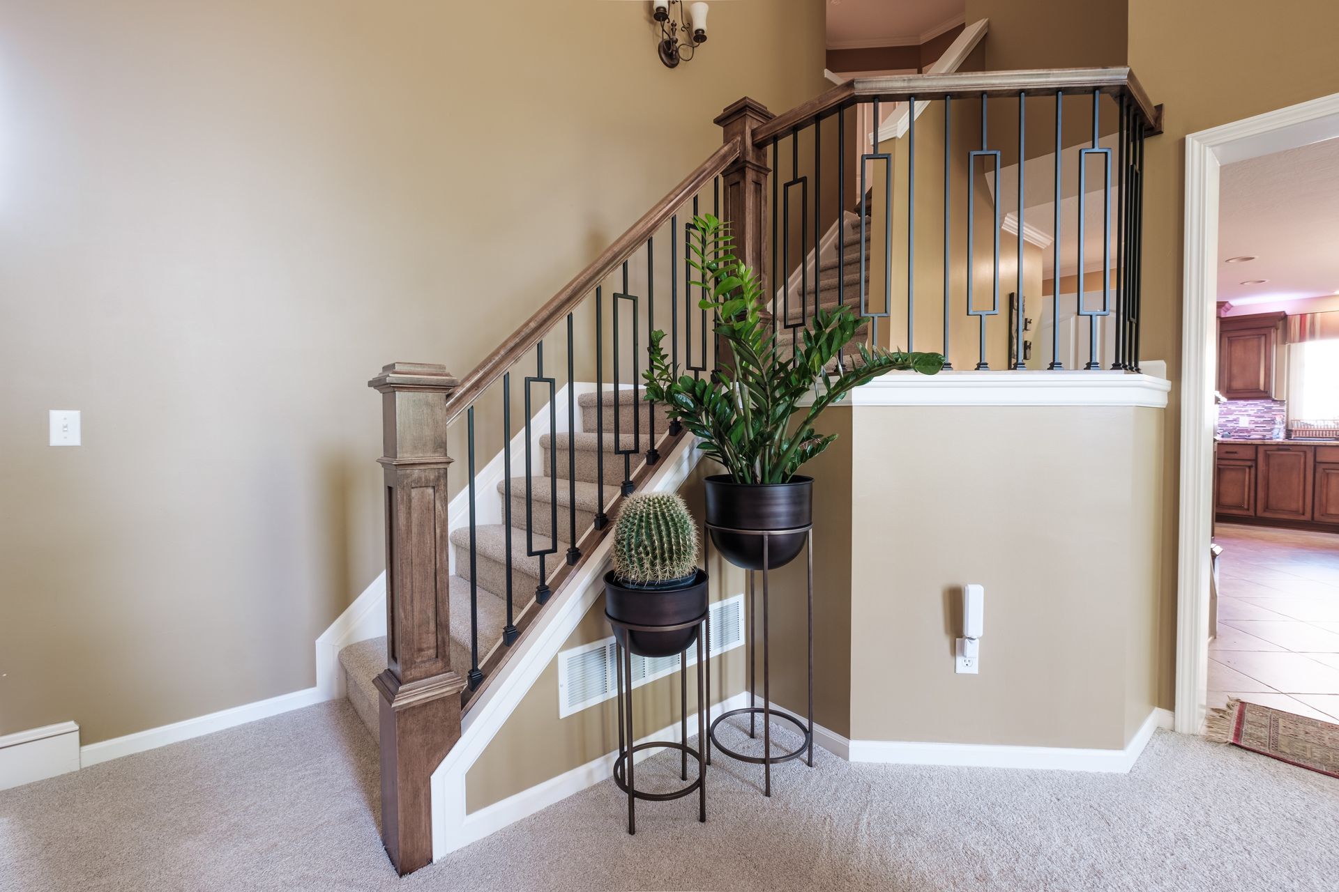 A staircase in a house with potted plants on the steps.