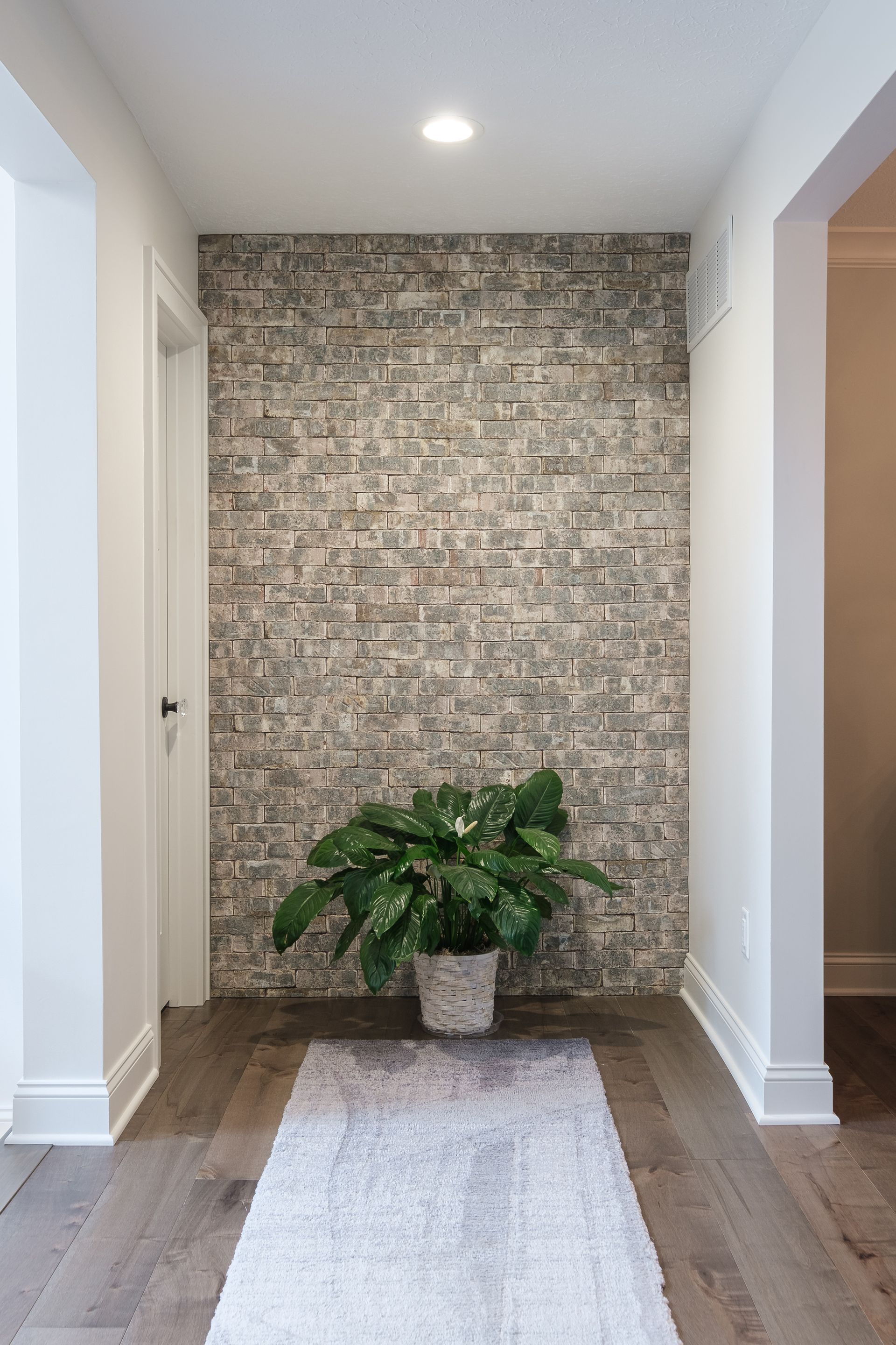 Entryway with stone accent wall, potted plant, and a rug.