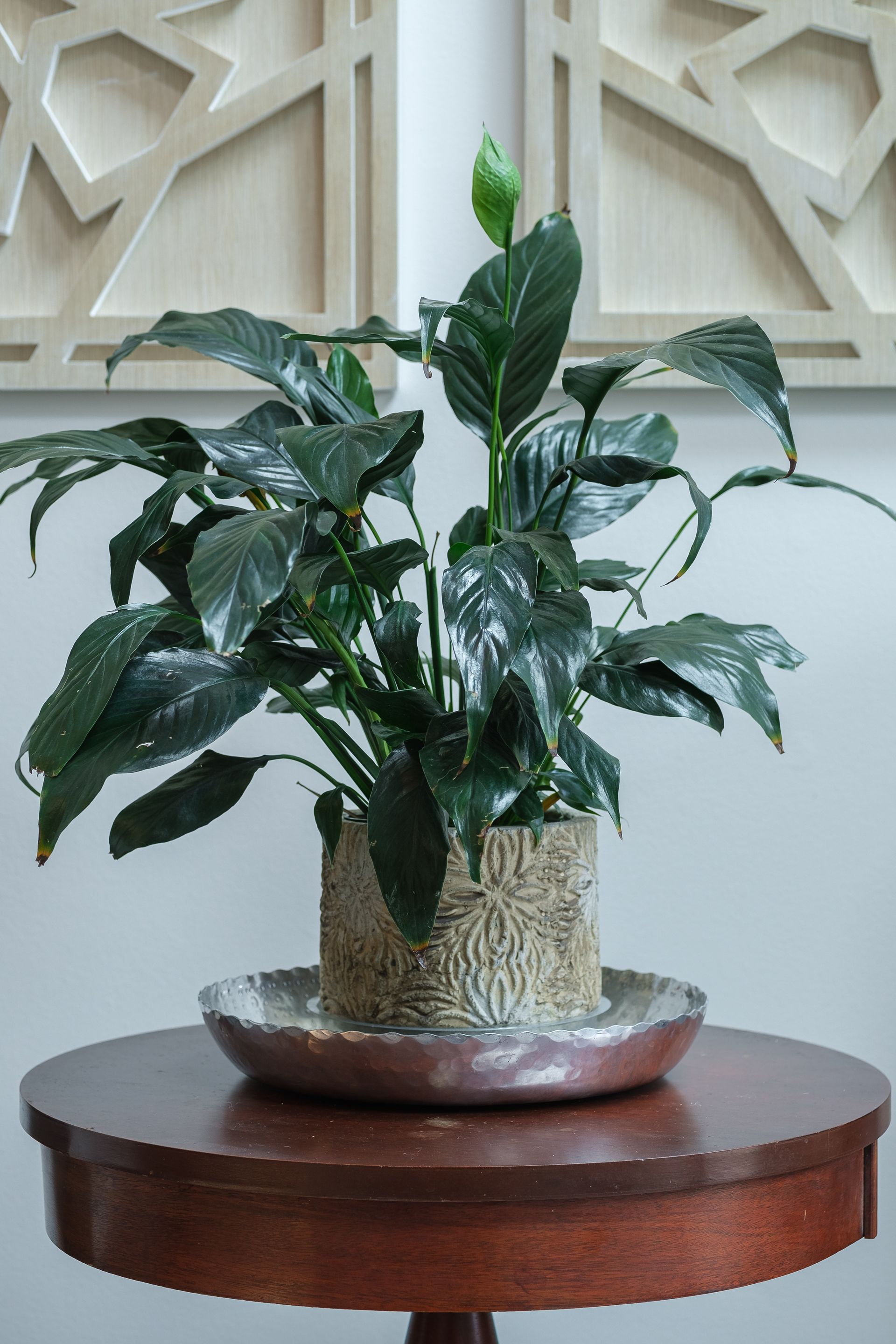 Peace lily plant on a round brown table with decorative wall panels in the background.
