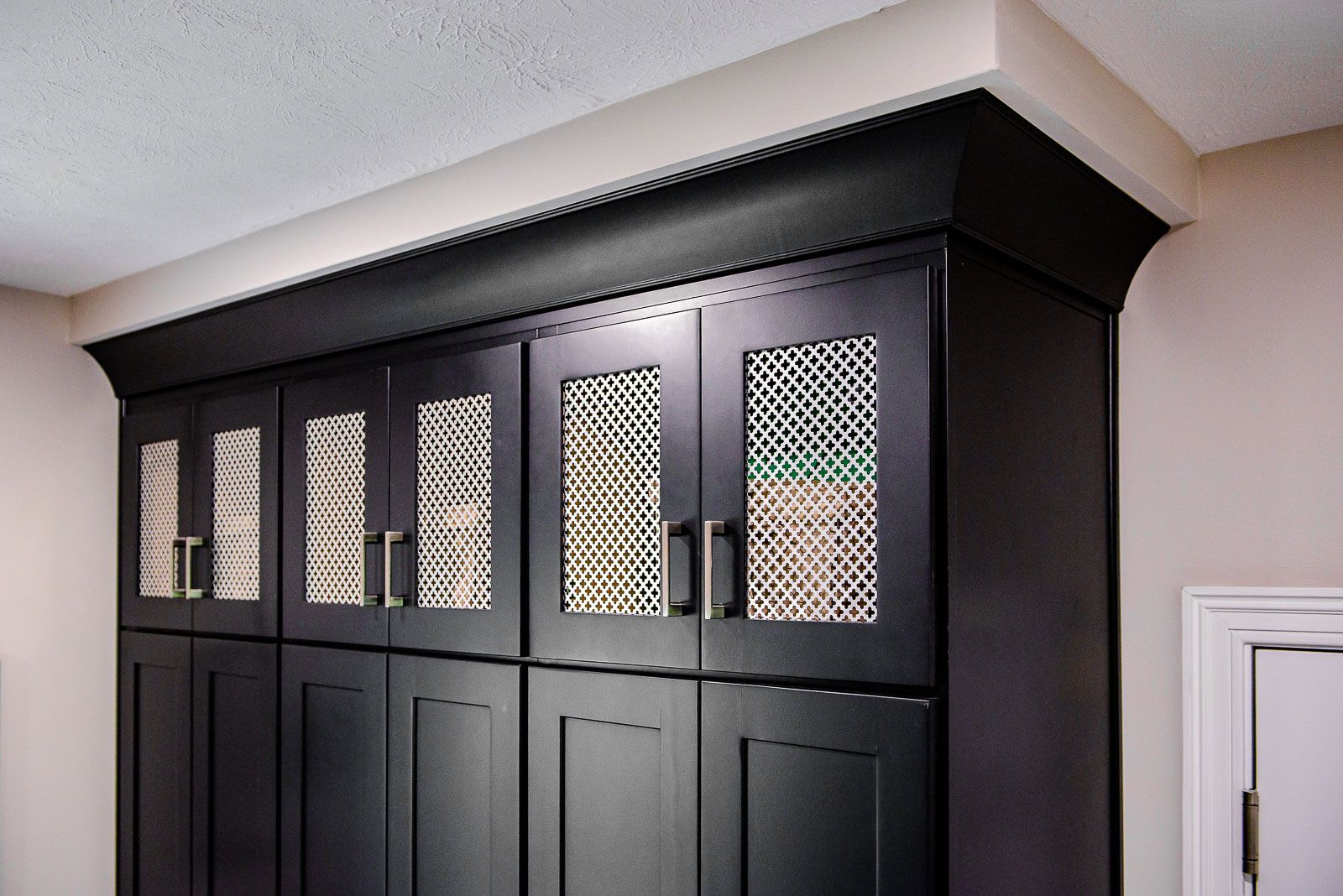 A row of black cabinets with mesh doors in a room