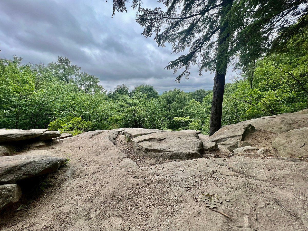 A rocky area with trees in the background and a cloudy sky.