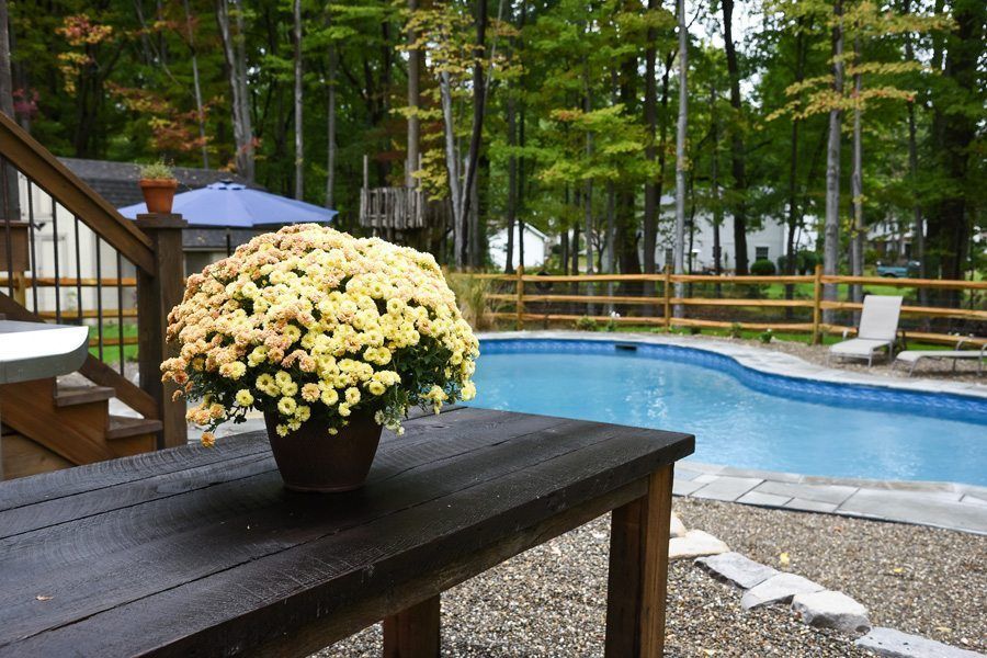 A vase of flowers sits on a table in front of a swimming pool