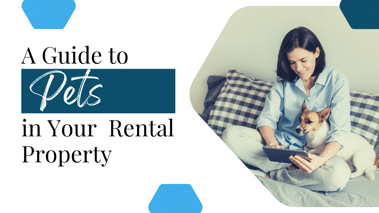 A Guide to Pets in Your Humboldt County Rental Property - Article  Banner