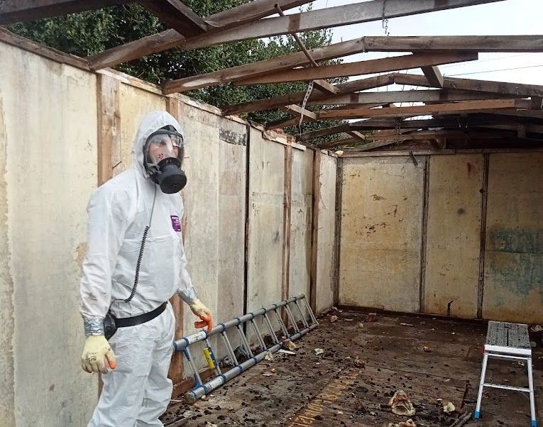 inspection to identify asbestos in artex