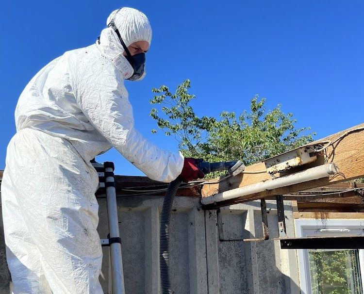 an asbestos expert testing and removing artex