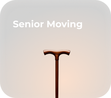 Friendly movers assisting a senior with household items