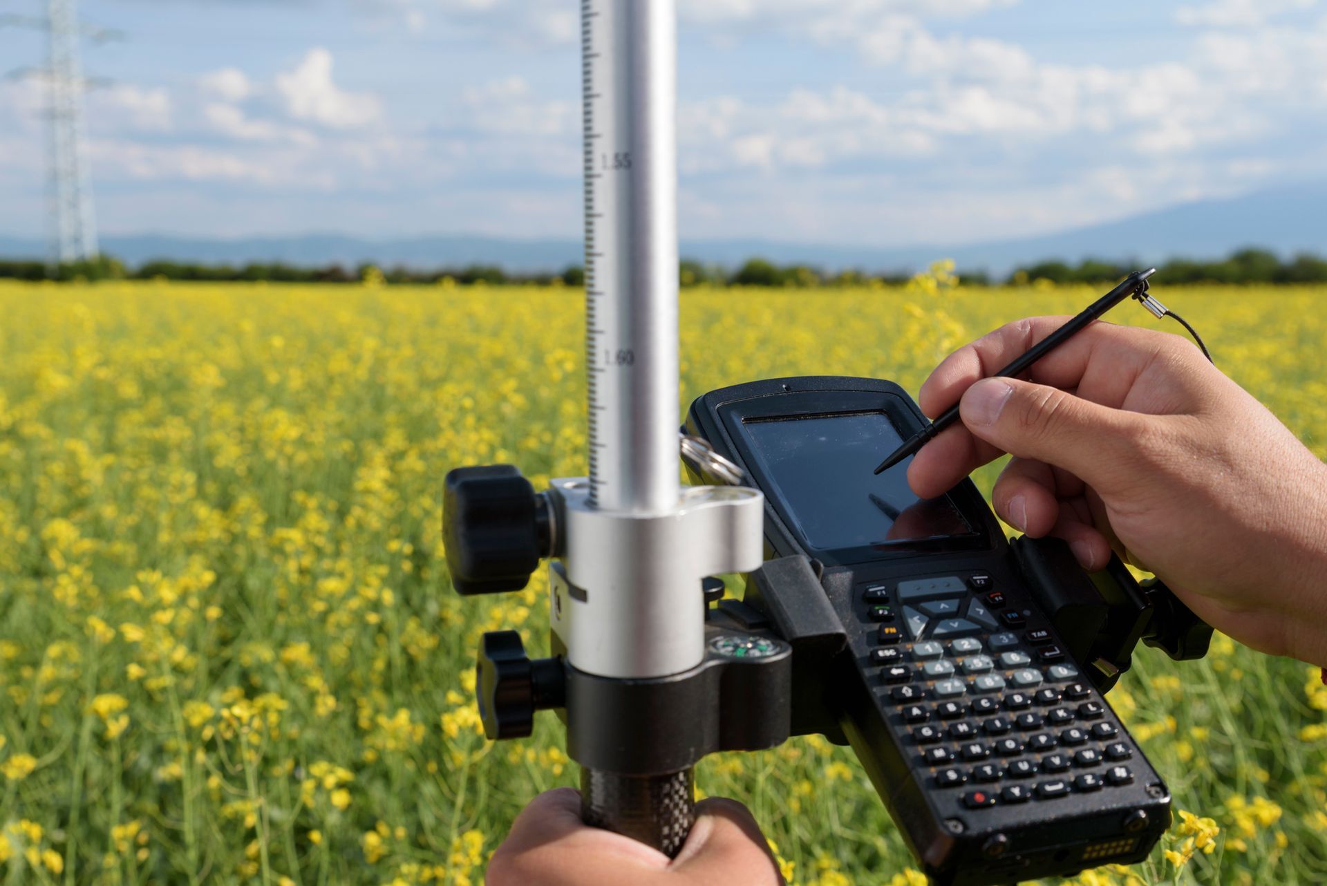 A person is using a cell phone in a field