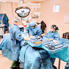 Physiotherapy — San Antonio and Victoria — Dr. Kevin Richardson, Orthopedic Spine Surgeon