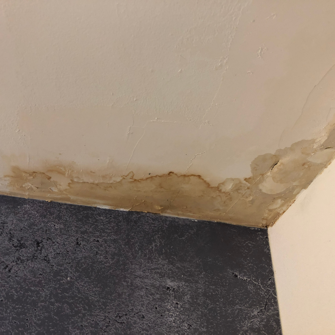 Dangers of Neglecting Foundation Leaks | Paul’s Basement Waterproofing