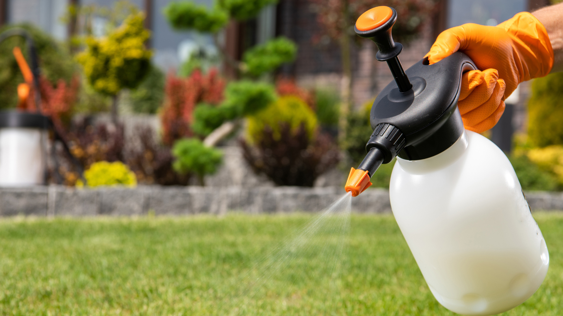 The Benefits of Regular Lawn Maintenance