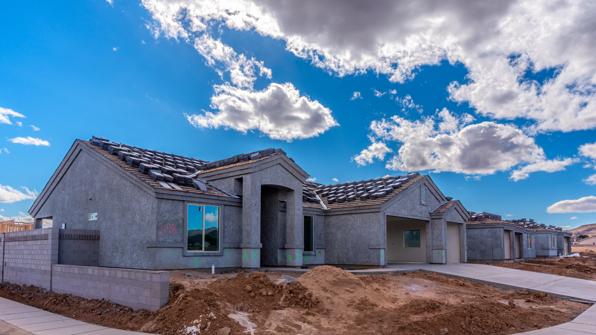 Addressing Pest Concerns with New Home Construction