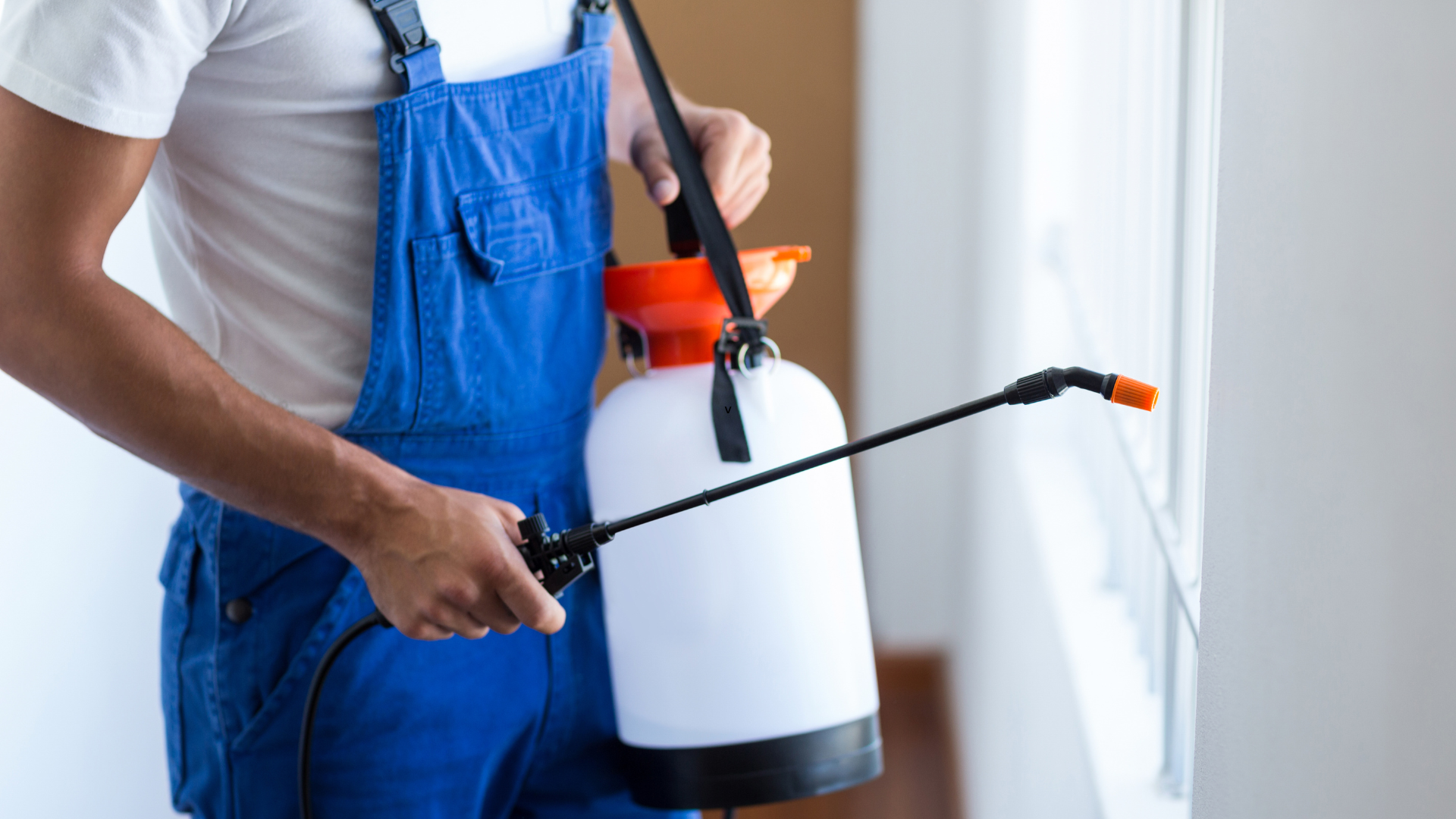 Banish Bugs: Top Indoor Pest Control Solutions for North Florida Homes