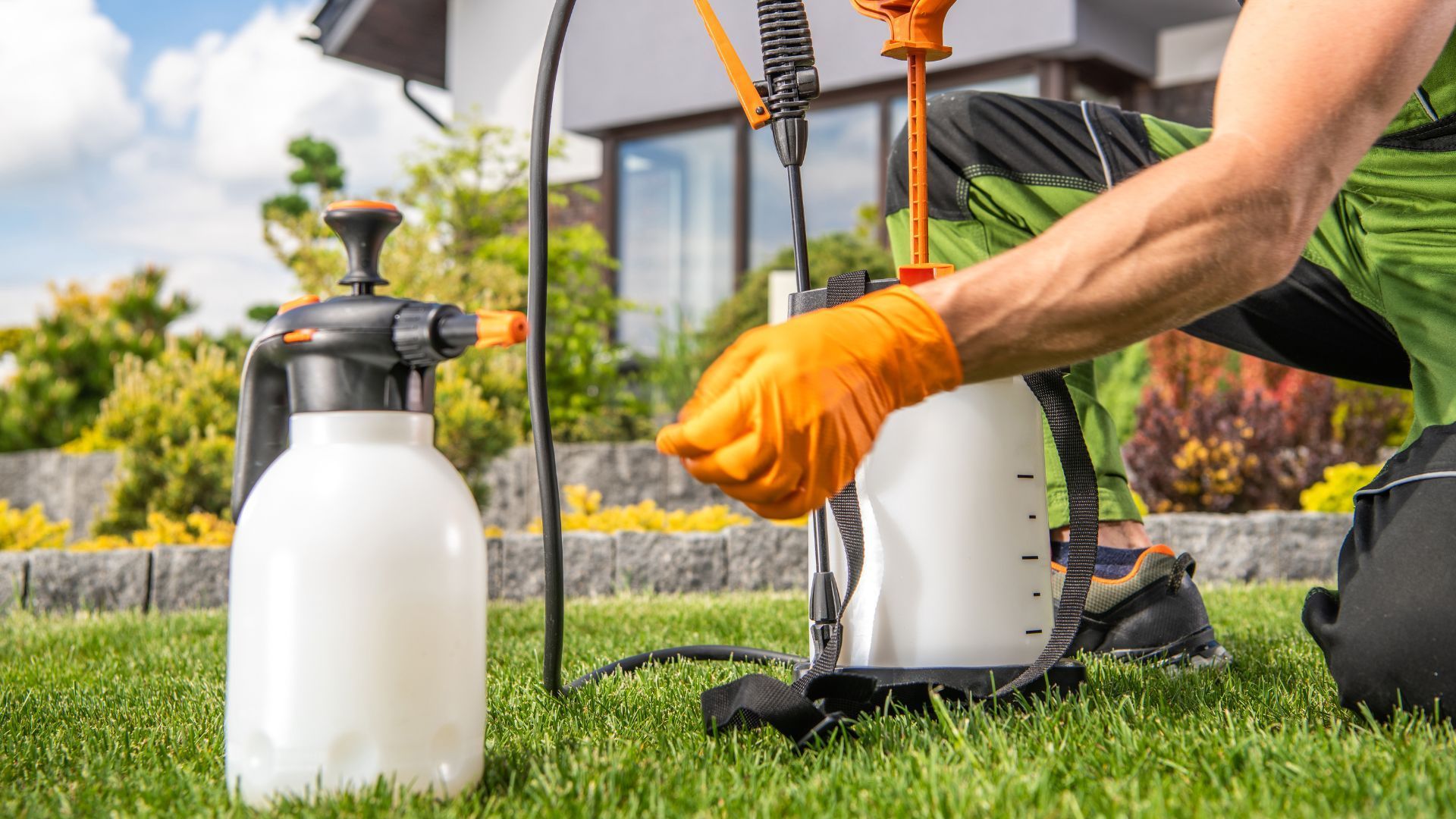 Benefits of Professional Lawn Spraying Services