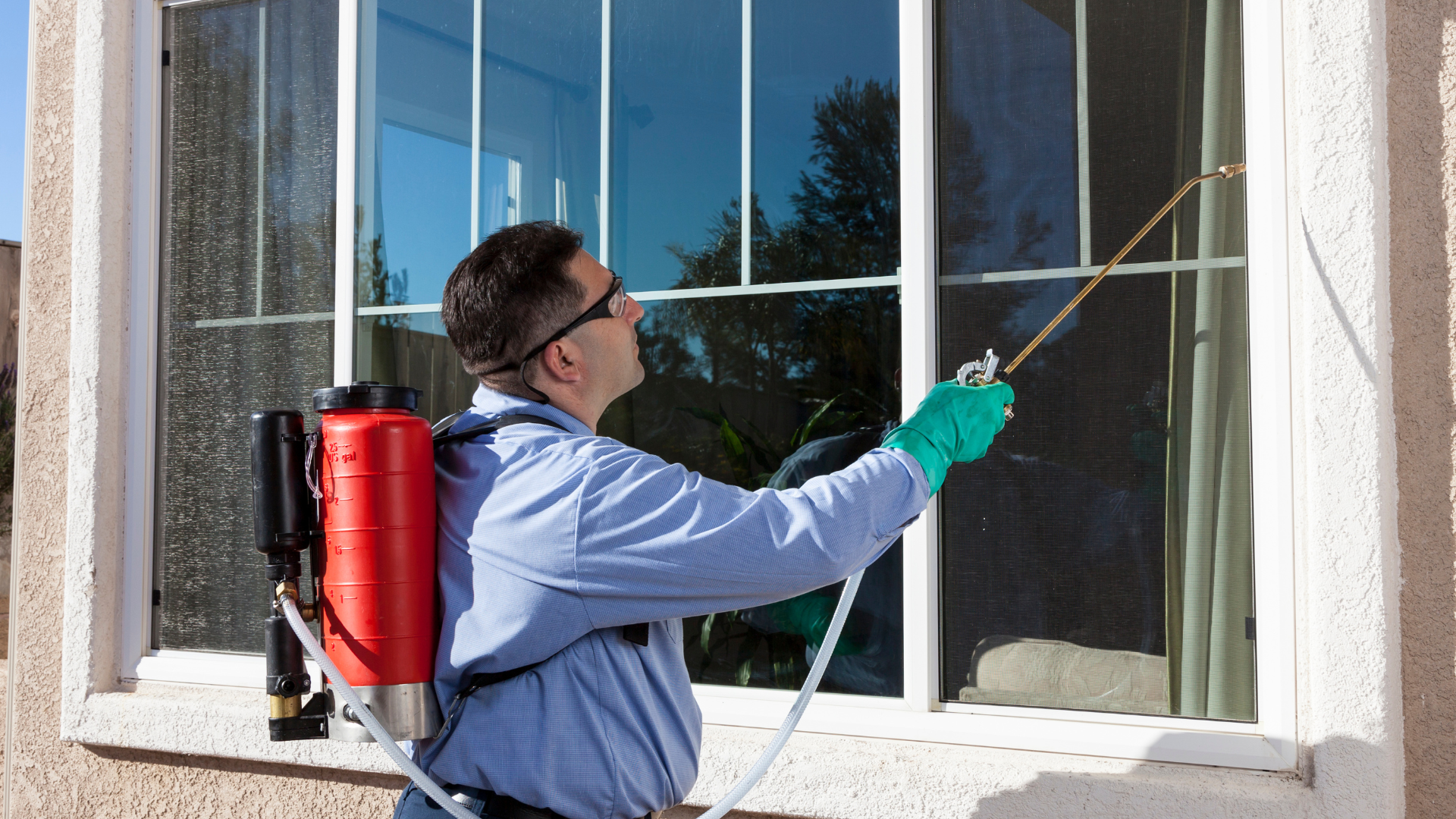 How to Keep Your Home Pest-Free Year-Round