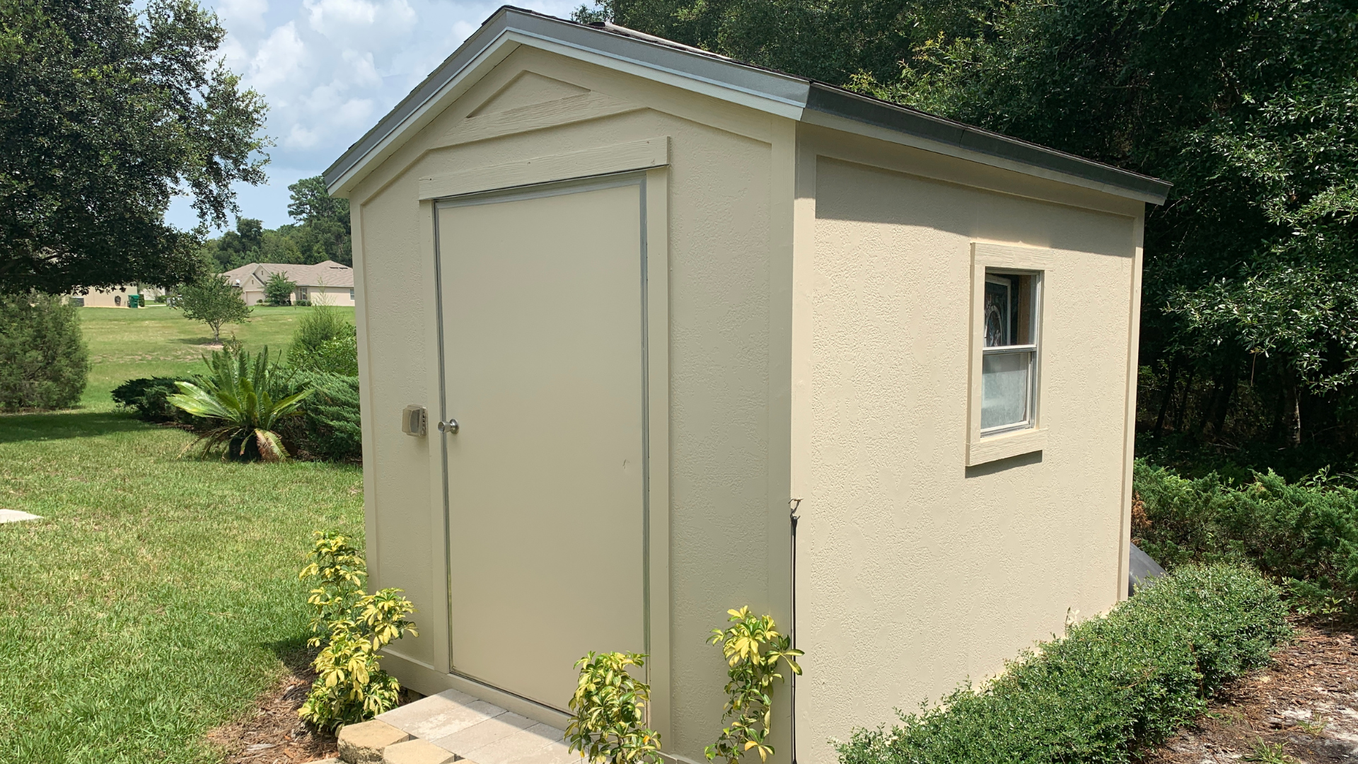 Identifying Pest Problems in Outdoor Sheds