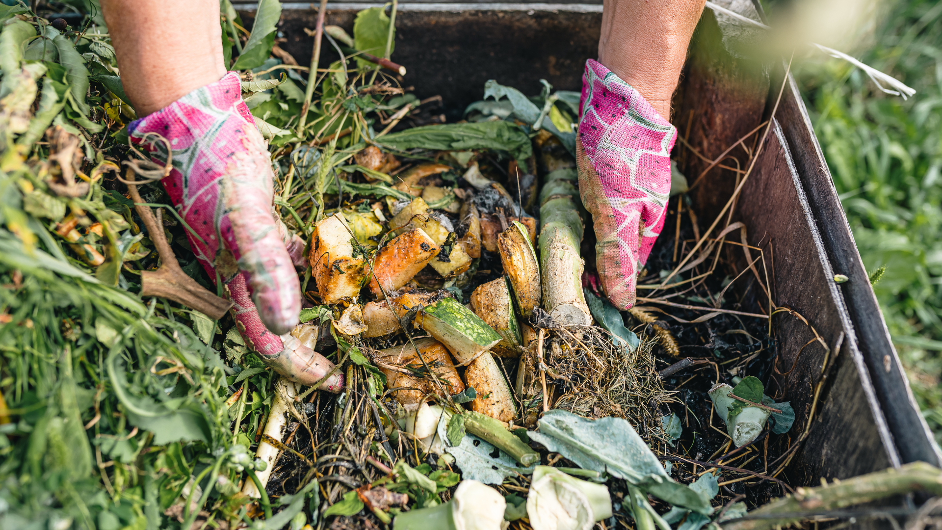 Is Your Compost Pile Attracting Pests?