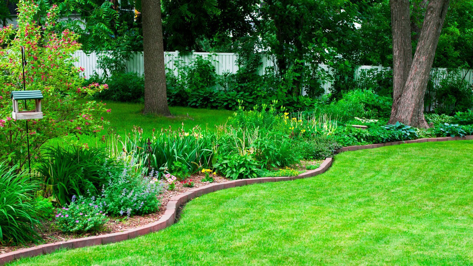 Lawn Care Tips for a Lush Yard