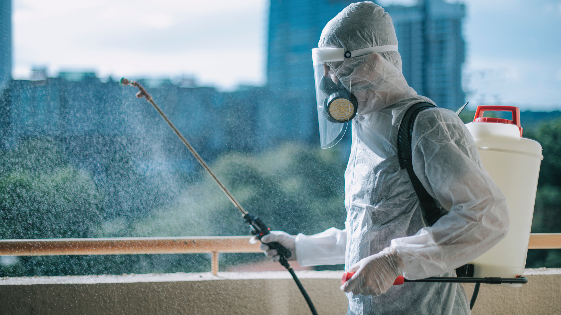 Preventing Pest Infestations in Apartments