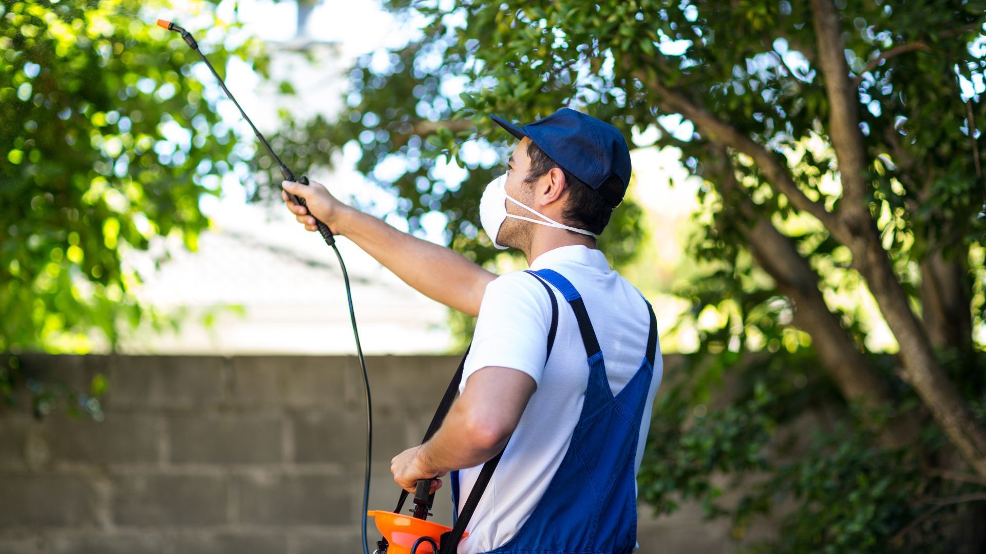 Shield Your Yard: Premier Outdoor Pest Control for North Florida