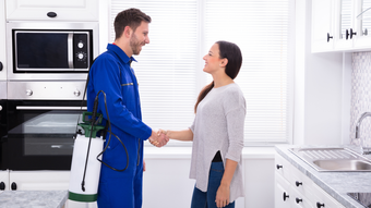 Lakeland Natural Pest Control Spray | Superior Spray | FL