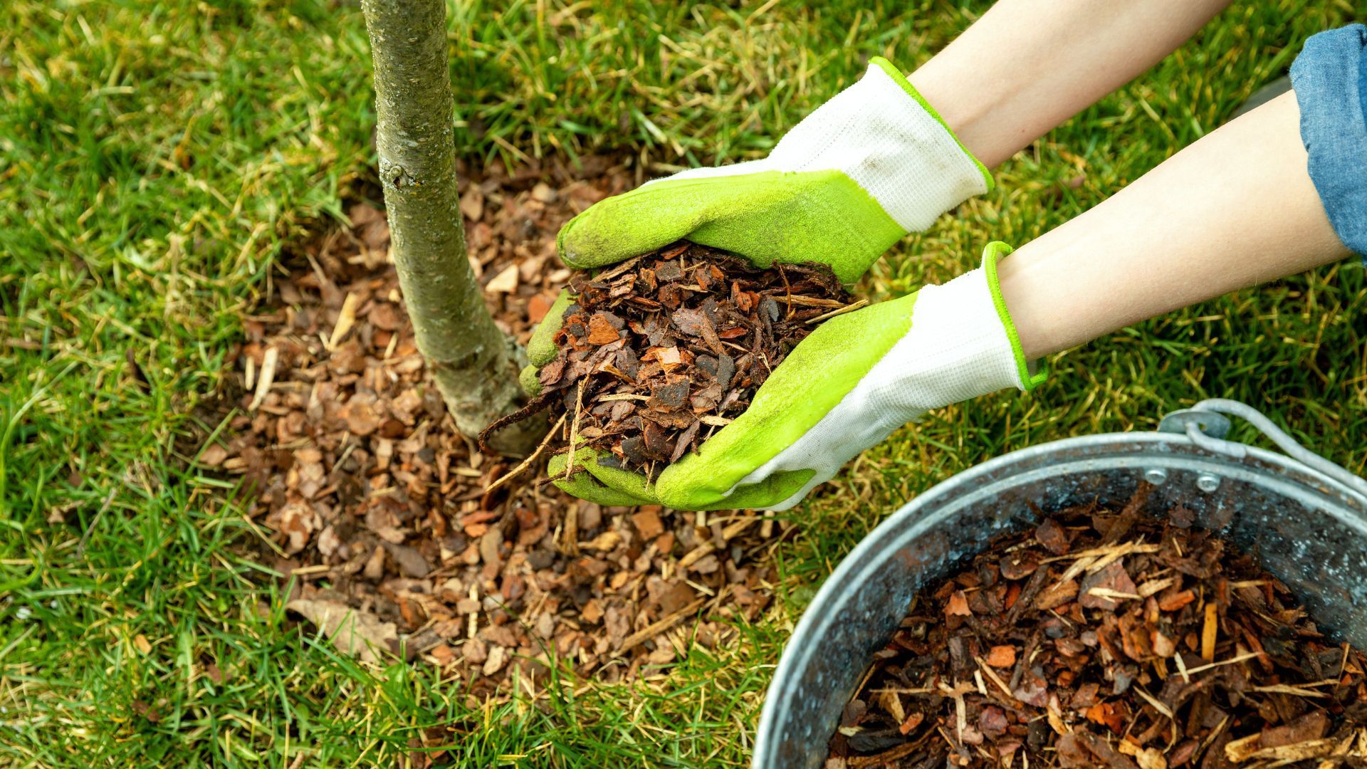 The Connection Between Mulch and Pest Control