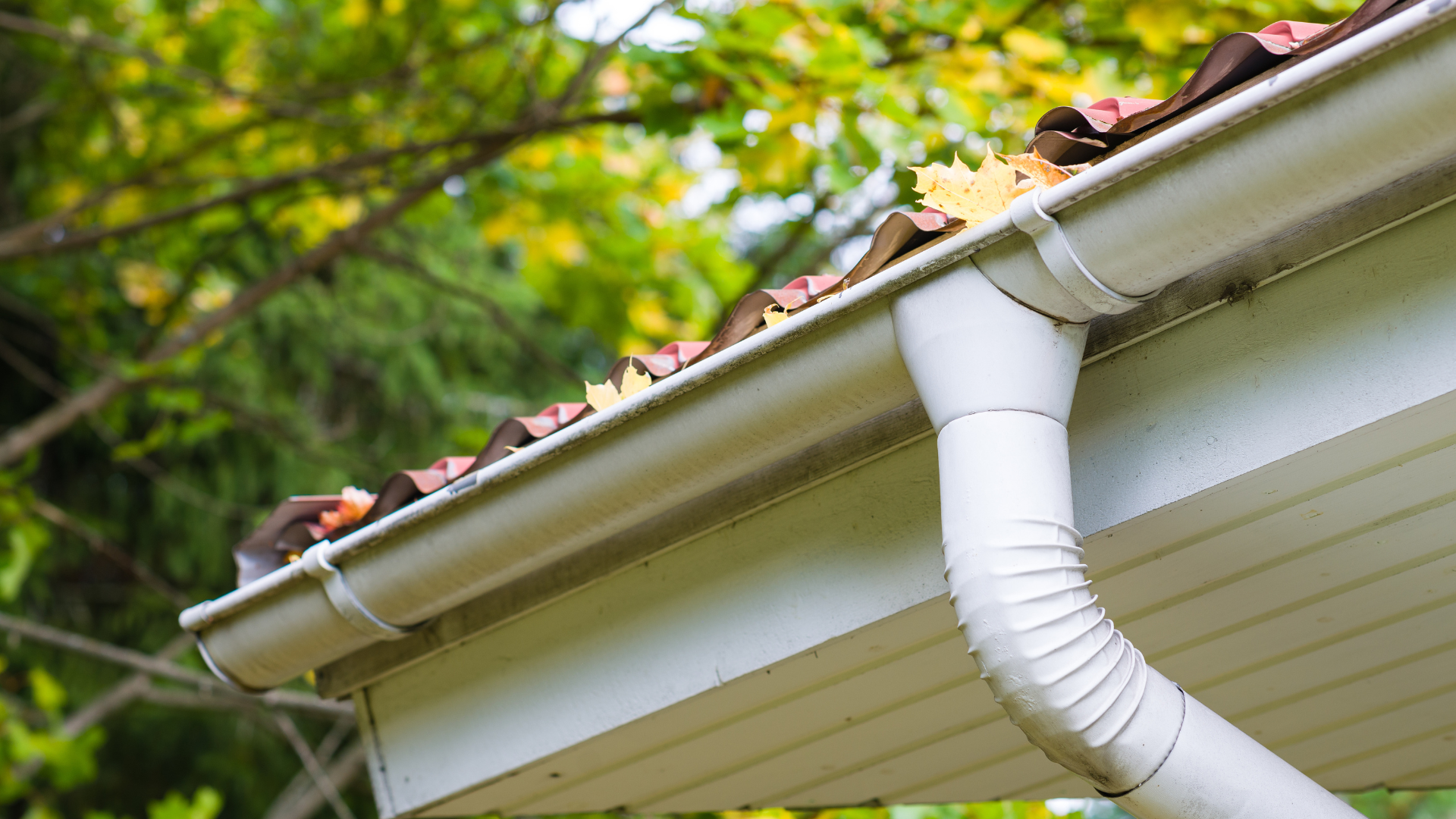 The Importance of Gutter Cleaning for Pest Control