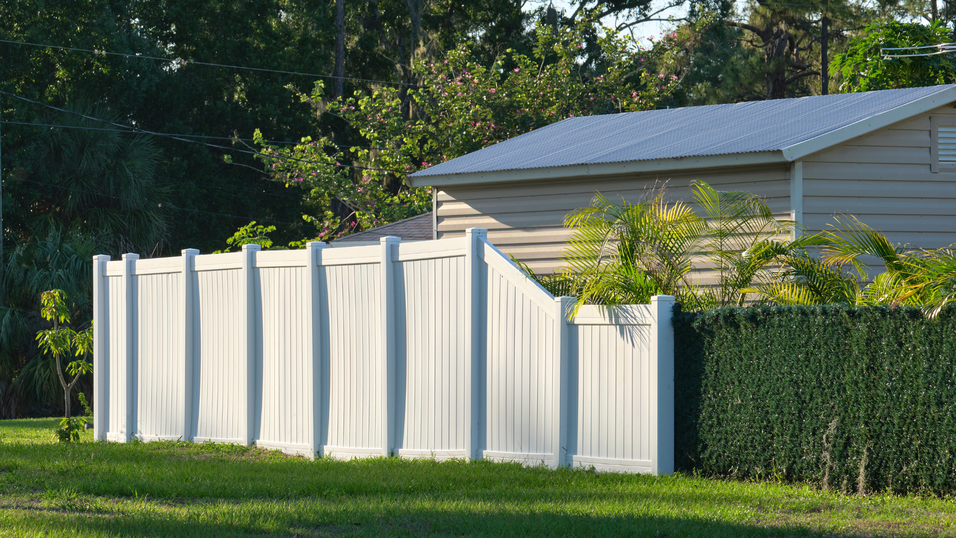 The Role of Fencing in Pest Prevention