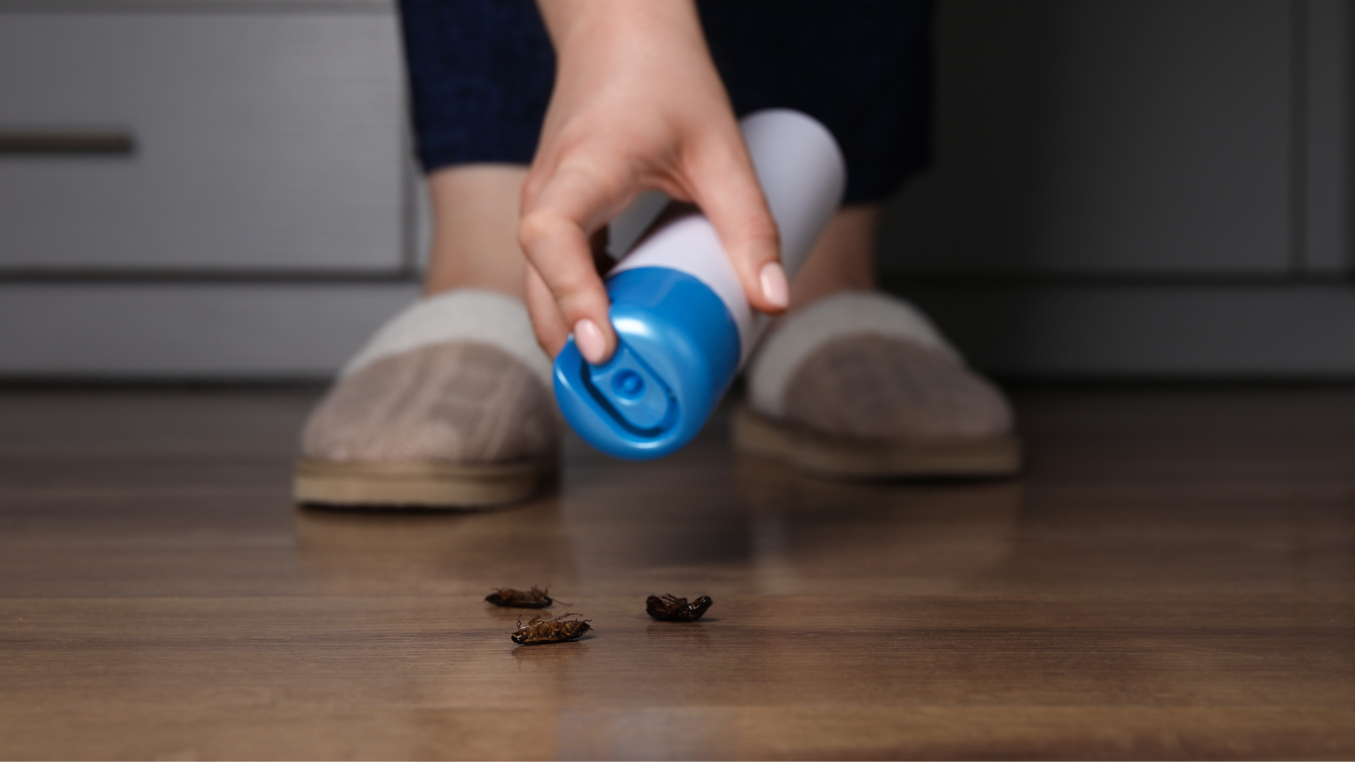 Why DIY Pest Control Often Fails