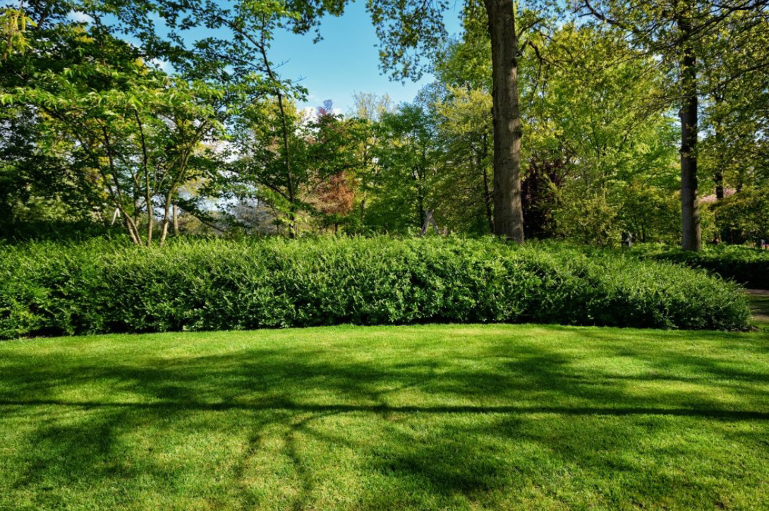 How to give your lawn new life with N-Ext RGS