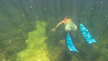 Free Diving — Homosassa, FL — A Look Below Charters