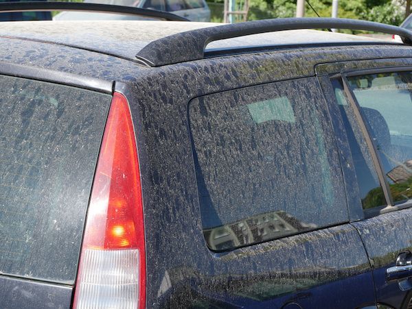 Muddy black SUV parked outdoors, rear side view with red taillight. | Jeff's Automotive, Inc