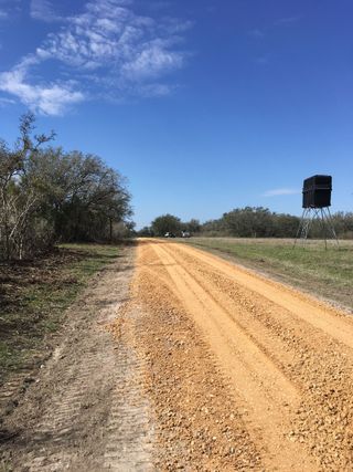 A dirt road going through a field with trees on both sides