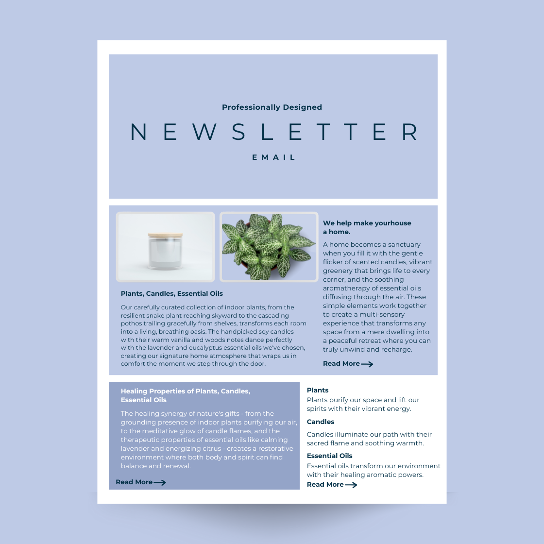 A blue newsletter with a picture of a plant and a candle