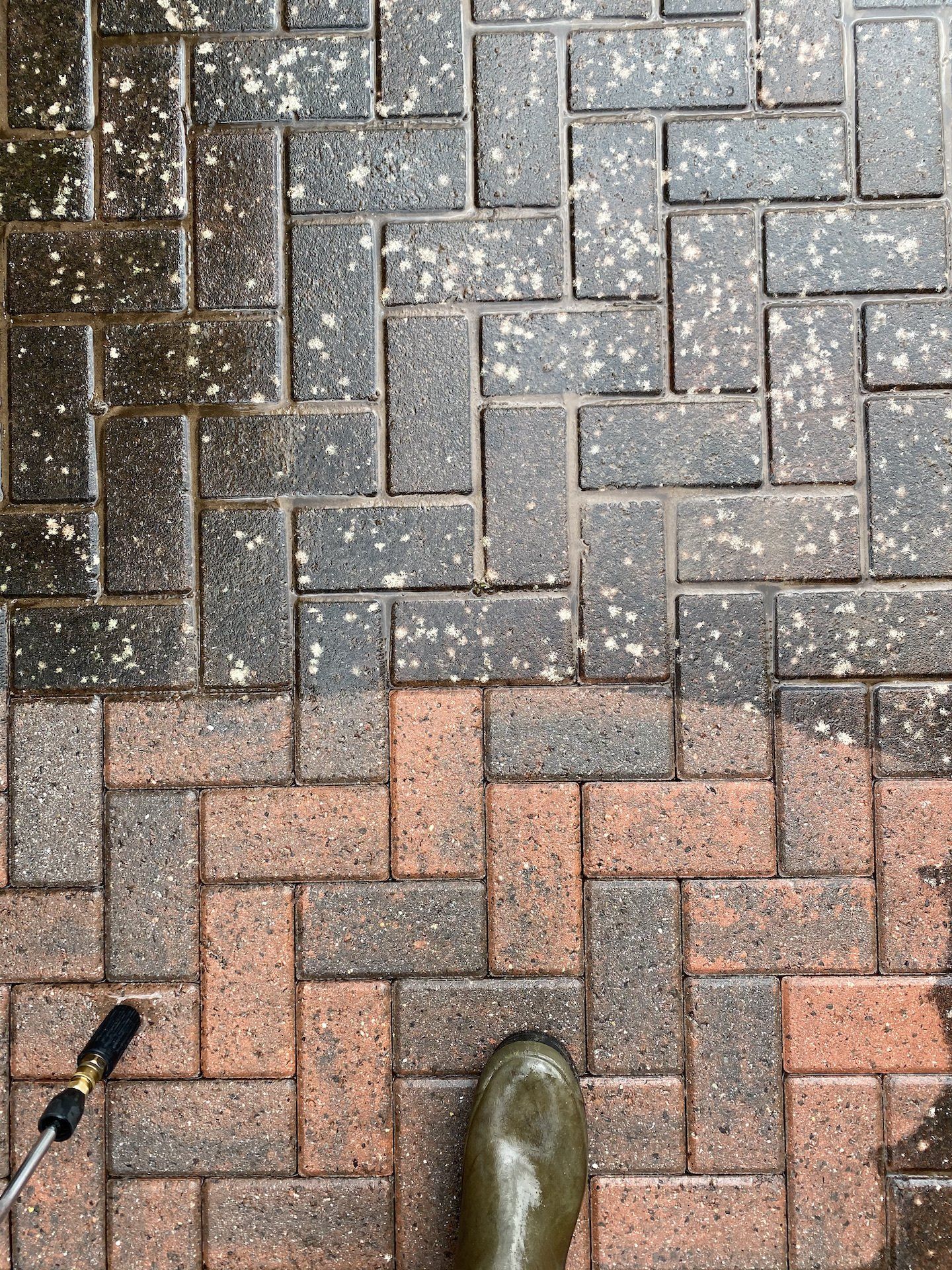 block paving after being cleaned